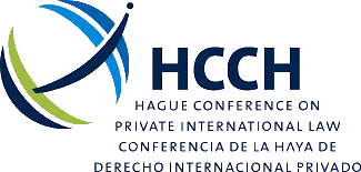 logo-de-la-Haya.webp