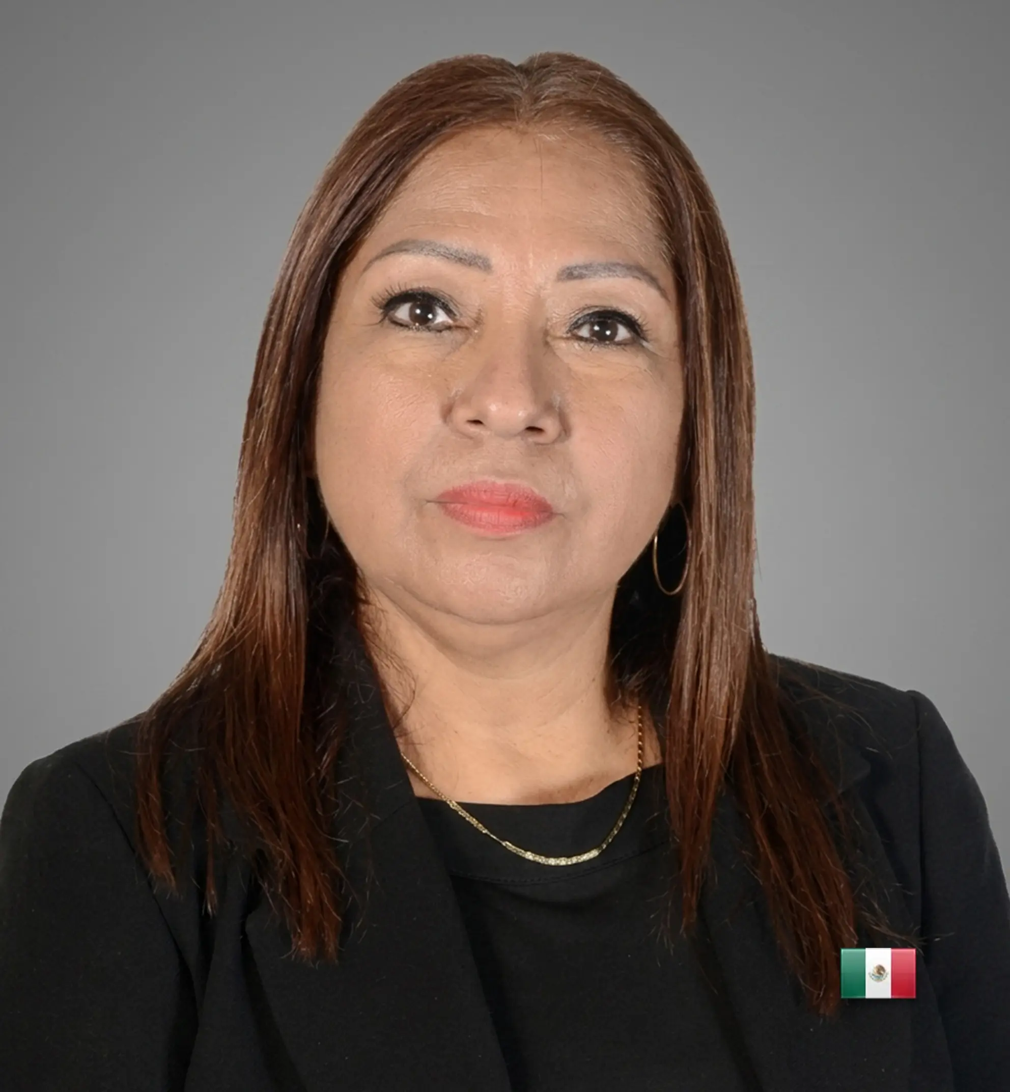 Investigación académica y Consejo Científico de MCA School