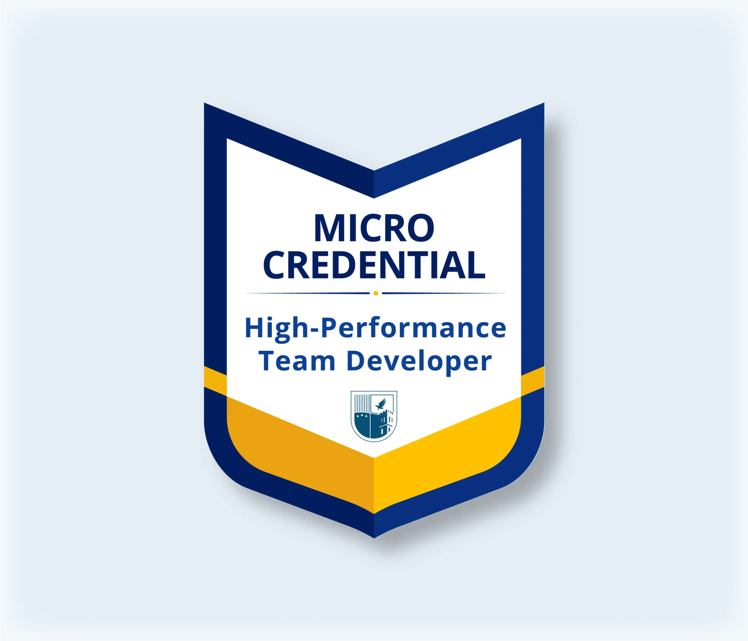 High-Performance Team Developer_MCA SCHOOL