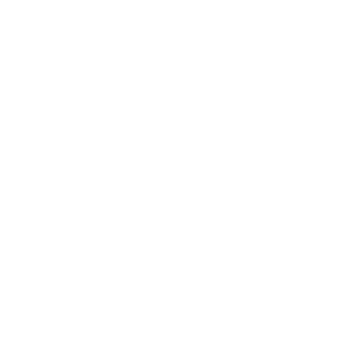 MCA SHOOL_LOGO_BLANCO